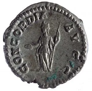 PLAVTILLA AVGVSTA