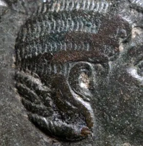 Erennia Etruscilla dettaglio