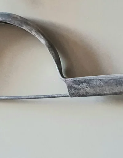 Fibula in argento con dracma di Metaponto