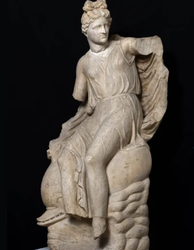 Nereide su delfino