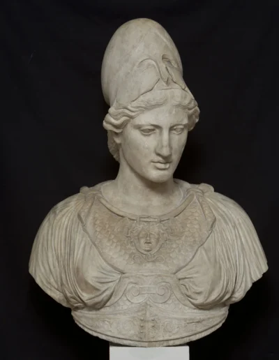 Testa di Atena