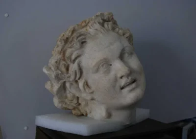 Fig. 1 Satiro, fine lavori