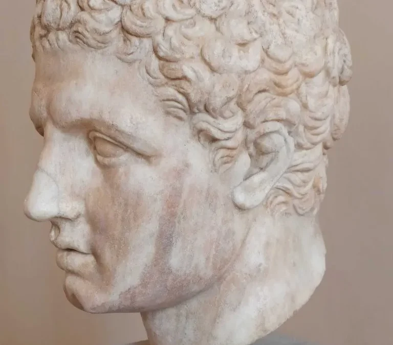 Testa di atleta